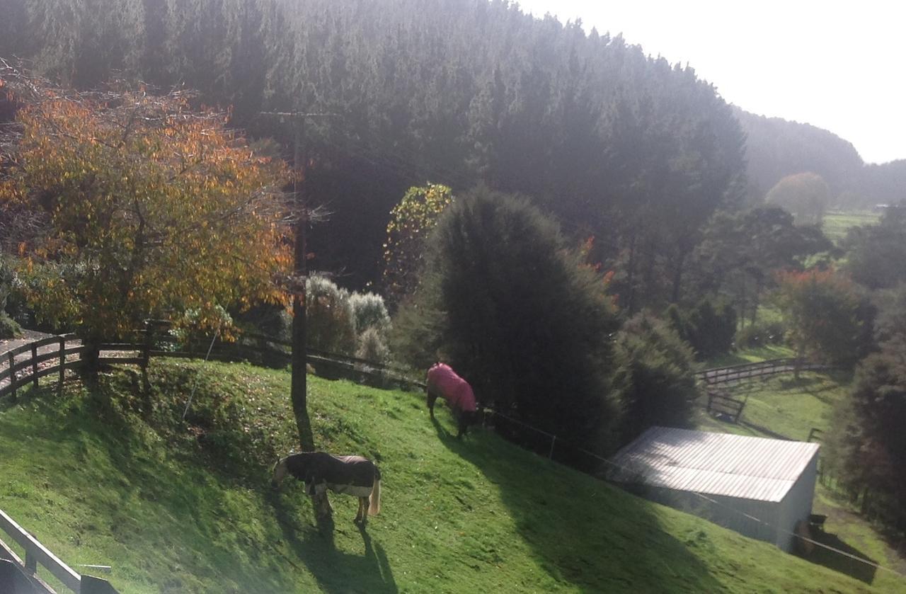 Karamu Valley Lodge Dış mekan fotoğraf
