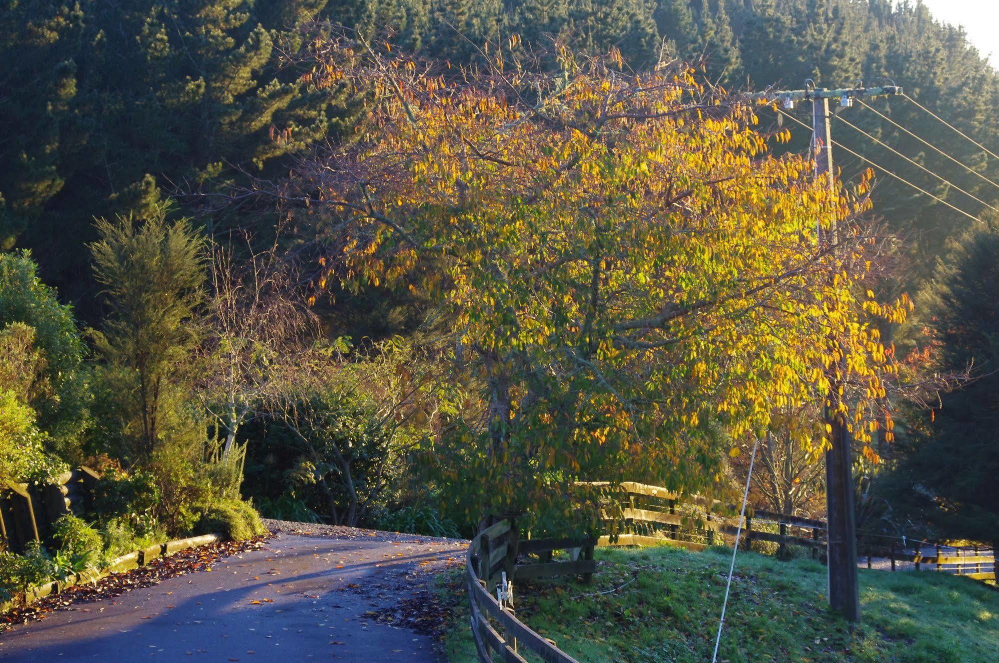 Karamu Valley Lodge Dış mekan fotoğraf